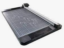 302044